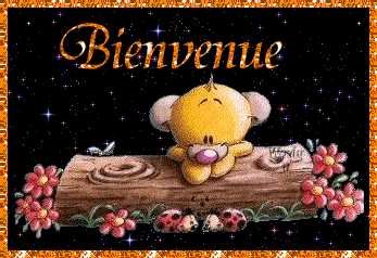 bienvenue